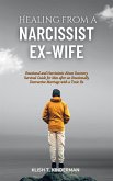 Healing from a Narcissist Ex-wife (eBook, ePUB)