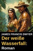 Der weiße Wasserfall: Roman (eBook, ePUB)