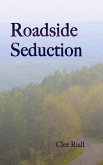 Roadside Seduction (eBook, ePUB)