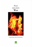 Wut - Eine Ronny Hirt Geschichte (eBook, ePUB)