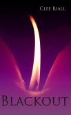 Blackout (eBook, ePUB)