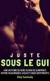 Juste sous le gui (eBook, ePUB)