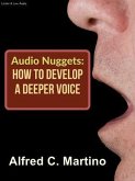 Audio Nuggets (eBook, ePUB)