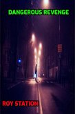 Dangerous Revenge (eBook, ePUB)
