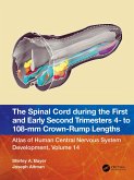 The Spinal Cord during the First and Early Second Trimesters 4- to 108-mm Crown-Rump Lengths (eBook, PDF)