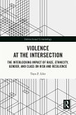 Violence at the Intersection (eBook, ePUB)