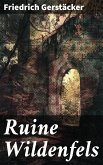 Ruine Wildenfels (eBook, ePUB)