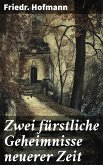 Zwei fürstliche Geheimnisse neuerer Zeit (eBook, ePUB)