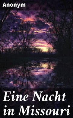 Cover Eine Nacht in Missouri (eBook, ePUB)