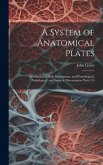 A System of Anatomical Plates