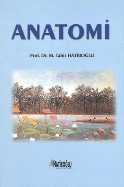 Anatomi Anatomi