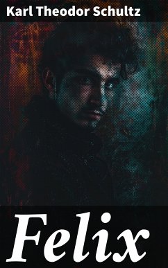 Felix (eBook, ePUB) - Schultz, Karl Theodor