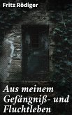 Aus meinem Gefängniß- und Fluchtleben (eBook, ePUB)