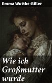 Wie ich Großmutter wurde (eBook, ePUB)