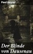 Der Blinde von Dausenau (eBook, ePUB) - Bild 1