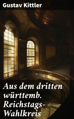Cover Aus dem dritten württemb. Reichstags-Wahlkreis (eBook, ePUB)