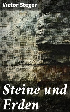 Steine und Erden (eBook, ePUB) - Steger, Victor