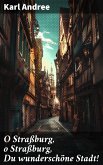 O Straßburg, o Straßburg, Du wunderschöne Stadt! (eBook, ePUB)