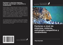 Factores a nivel de empresa, entorno, estrategia competitiva y rendimiento - Kariuki, Paul