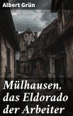 Mülhausen, das Eldorado der Arbeiter (eBook, ePUB)