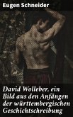 David Wolleber, ein Bild aus den Anfängen der württembergischen Geschichtschreibung (eBook, ePUB)