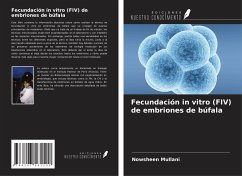 Fecundación in vitro (FIV) de embriones de búfala - Mullani, Nowsheen