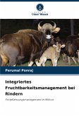 Integriertes Fruchtbarkeitsmanagement bei Rindern