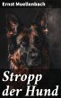 Stropp der Hund (eBook, ePUB) - Bild 1