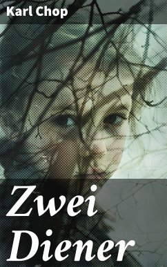 Zwei Diener (eBook, ePUB) - Chop, Karl