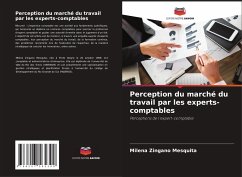 Perception du marché du travail par les experts-comptables - Zingano Mesquita, Milena