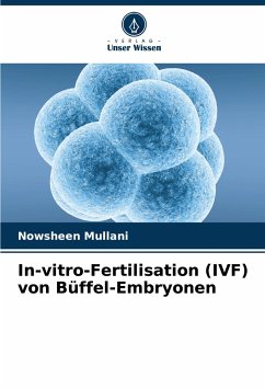 In-vitro-Fertilisation (IVF) von Büffel-Embryonen - Mullani, Nowsheen