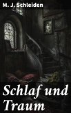 Schlaf und Traum (eBook, ePUB)