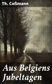 Aus Belgiens Jubeltagen (eBook, ePUB)