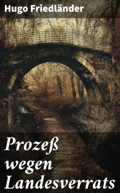 Prozeß wegen Landesverrats (eBook, ePUB) - Friedländer, Hugo