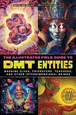 The Illustrated Field Guide to DMT Entities (eBook, ePUB)