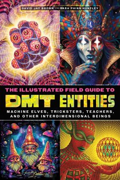 Cover The Illustrated Field Guide to DMT Entities (eBook, ePUB)