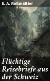 Flüchtige Reisebriefe aus der Schweiz (eBook, ePUB)