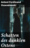 Schatten des dunklen Ostens (eBook, ePUB)