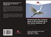 Biodiversité des oiseaux dans le Rio Grande et le Rio Santo Antônio, SP