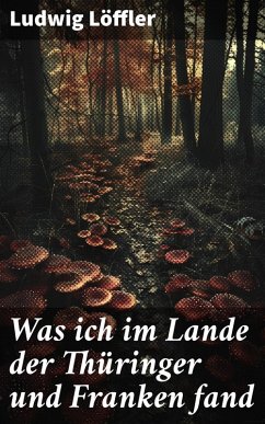 Was ich im Lande der Thüringer und Franken fand (eBook, ePUB) - Löffler, Ludwig