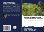 Ocenka antimikrobnoj aktiwnosti Pinus pinaster