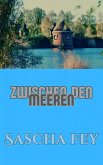 Zwischen den Meeren (eBook, ePUB)