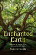 The Enchanted Earth - Bild 1