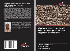 Miglioramento del suolo Bris per una produzione vegetale sostenibile - Mat Arshad, Adzemi;Armanto, M. Edi;Wildayana, Elisa