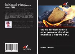 Studio termodinamico ed ergoeconomico di un impianto a vapore FBCC - Tantekin, Atakan