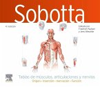 Sobotta. Tablas de músculos, articulaciones y nervios