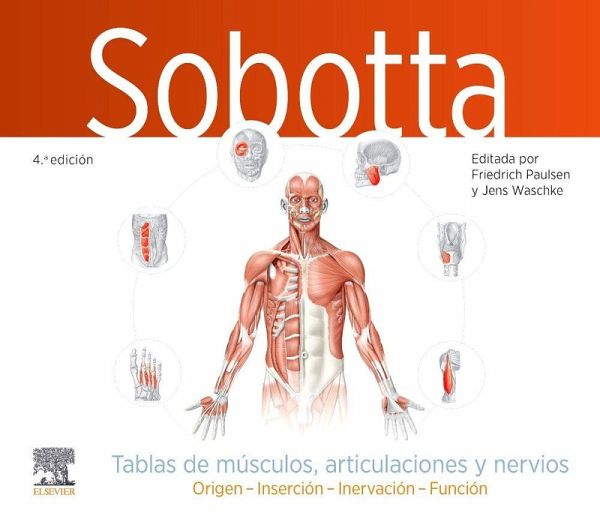 Sobotta. Tablas de músculos, articulaciones y nervios Sobotta. Tablas de músculos, articulaciones y nervios