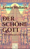 Der schöne Gott (eBook, ePUB)