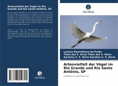 Artenvielfalt der Vögel im Rio Grande und Rio Santo Antônio, SP - Maximiliano do Prado, Larissa;Thais dos S. Alves, Thais dos S. Alves;Karolina V. S. Dória, Karolina V. S