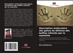 Description moléculaire des gènes de défense des buffles infectés par la mammite - ElKobrosy, Dina